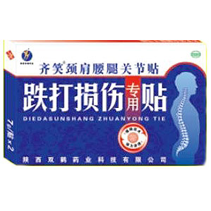 跌打损伤专用贴(双鹤)