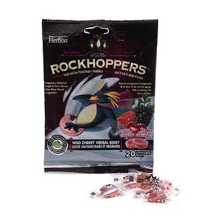 ironkids小铁人含博士紫锥菊润喉糖(加拿大生命科学)