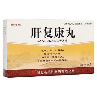 肝复康丸(诺得胜)