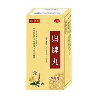 归脾丸(天水岐黄)