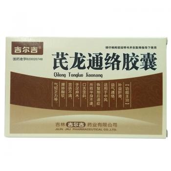 芪龙通络胶囊(同心)