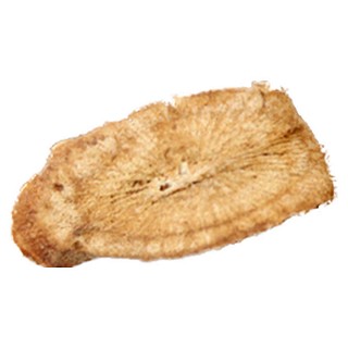 黄金牛蒡(四叶草)