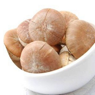 壮阳果(广方堂)