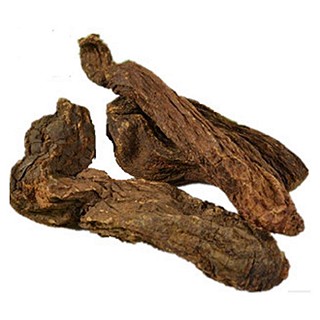 中药饮片 锁阳 补肾壮阳固精(大陆)