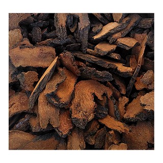 福德祥大片锁阳(福德祥)