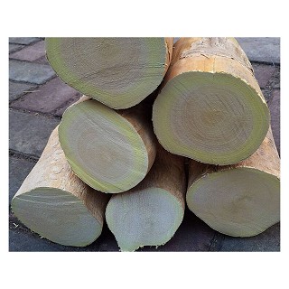 兴盟 东革阿里原树根(兴盟百货)