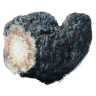 黑玛卡干果(丽江)