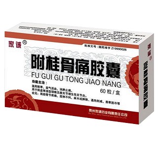 附桂骨痛胶囊(家诚)
