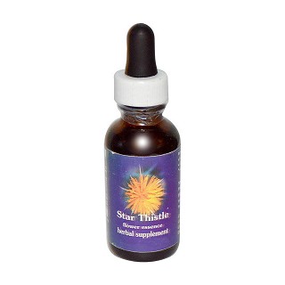 flower essence services 星蓟花精(essence)