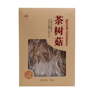 丛山 茶树菇(易门丛山食用菌)
