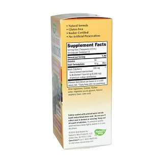 nature's way 接骨木 天然糖浆(natures)