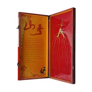 长白草堂 林下参 山参(10克)