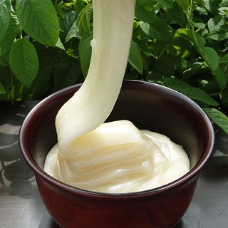 长白草堂 长白山雪蜜(400克)