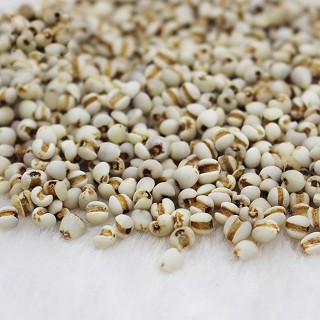 滋宁 薏苡仁 250克(慈宁)