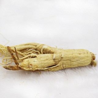 滋宁 长白山人参(慈宁)