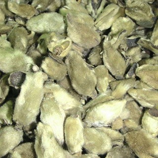 雪域满江 辛夷花(雪域满江)