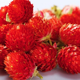 红巧梅茶(雪域满江)