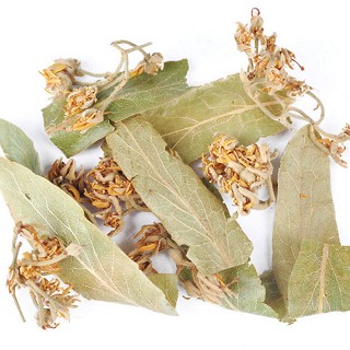 雪域满江 一级茶 菩提叶茶(50克)