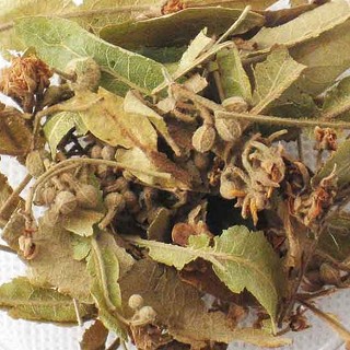 雪域满江 一级茶 菩提叶茶(200克)