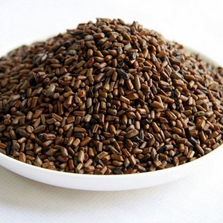 雪域满江 健康营养茶 炒决明子 300克(雪域满江)