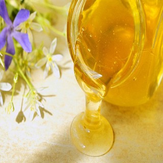 雪域满江 益母草蜂蜜(400克)