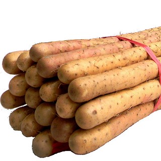 雪域满江 白山药 250克(雪域满江)