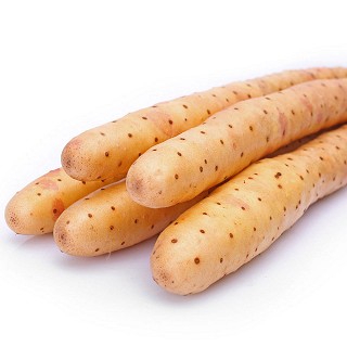 雪域满江 白山药 500克(雪域满江)