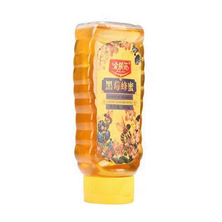 金陵花黑莓蜂蜜(常力)