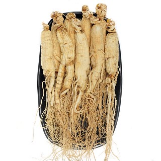 儒膳堂 长白山人参(益康堂)