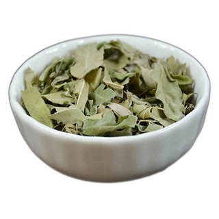 七芝堂 花草茶 罗布麻(50克)