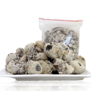 七芝堂 养生茶 白雪莲花(七芝堂)