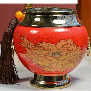 蓝翼 福建武夷山 春茶金骏眉茶(安溪御廷)