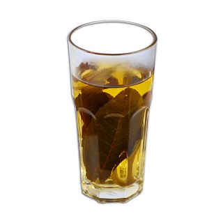 蓝翼 青钱柳(赛纳)