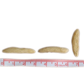 礼顺堂 麦冬(礼顺堂)