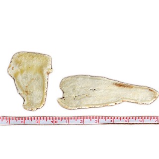 礼顺堂 当归片(礼顺堂)