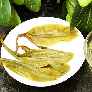 吉顺号 名山古树系列景迈独株 普洱生茶 200克(吉顺号)