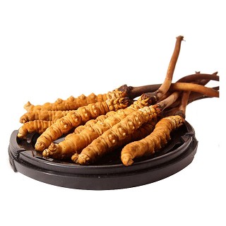 海瑞诗特 青海玉树 野生冬虫夏草(12g)