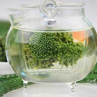 吉顺号 三七花茶 500克装(吉顺号)