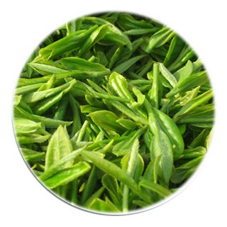 天之养 青白传奇 2016特级杭州龙井(天养)