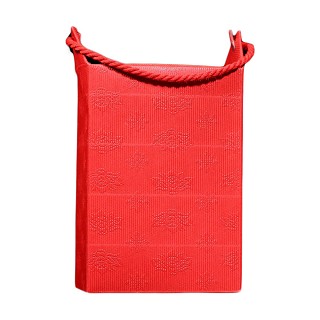 普育 云南凤庆大金芽(云河)