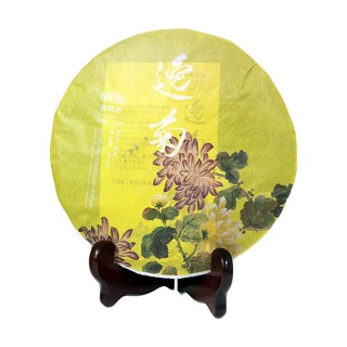 老同志 澹竹逸菊 乔木古树普洱茶(海湾)