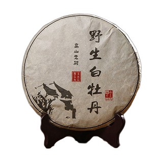 尚轩 高山老树 野生白牡丹(尚轩)