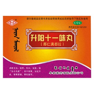 升阳十一味丸(阜新蒙药)
