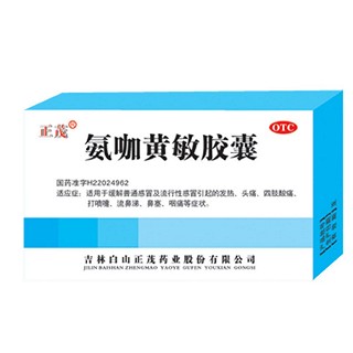 氨咖黄敏胶囊(白山正茂)