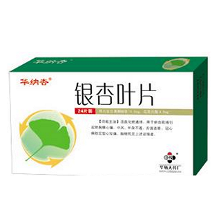 银杏叶片(华纳杏)