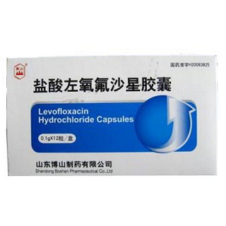 盐酸左氧氟沙星胶囊(博山)