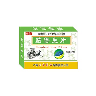 脑得生片(正堂)