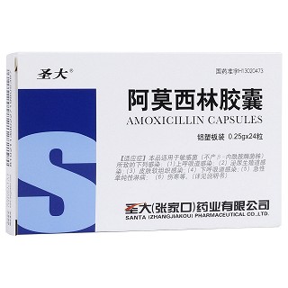 阿莫西林胶囊(圣大)