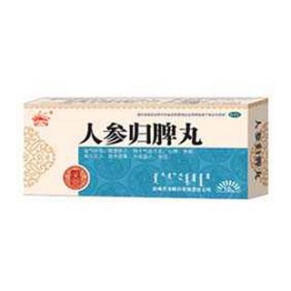 人参归脾丸(天奇中蒙)