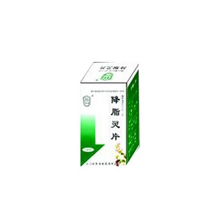 降脂灵片(莘原)